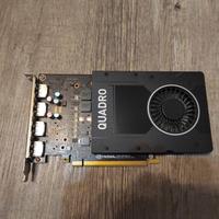 Scheda Video PNY nVidia Quadro P2200