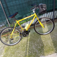 Mountain bike bottecchia