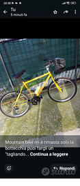 Mountain bike bottecchia