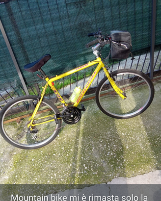 Mountain bike bottecchia