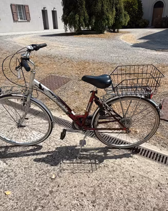 Bicletta da passeggio