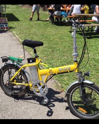 Bici elettrica bad bike 250w