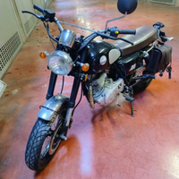 Mash Two Fifty 250