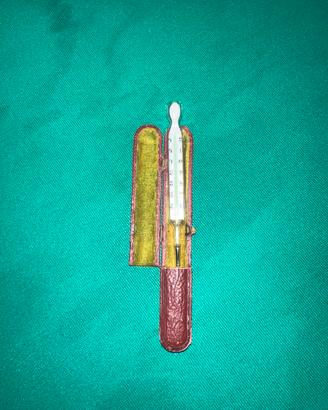 Termometro Clinico Vintage