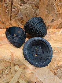 tartufo addestramento 