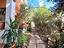 Immagine 5