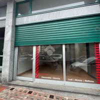 MULTILOCALE A BORGOMANERO