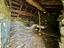Immagine 26