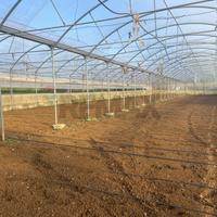 Azienda Agricola - Partinico