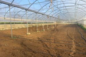 Azienda Agricola - Partinico