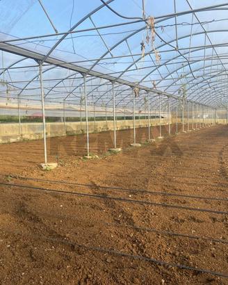 Azienda Agricola - Partinico