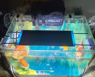 Acquario piccolo completo