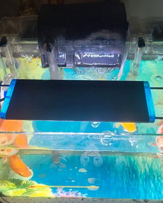 Acquario piccolo completo