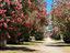 Immagine 22