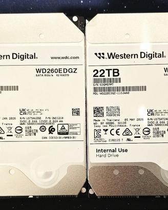 Hard disk western digital 22tb e 26tb 3,5" Nuovi