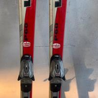Sci  volki P60