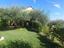 Immagine 11