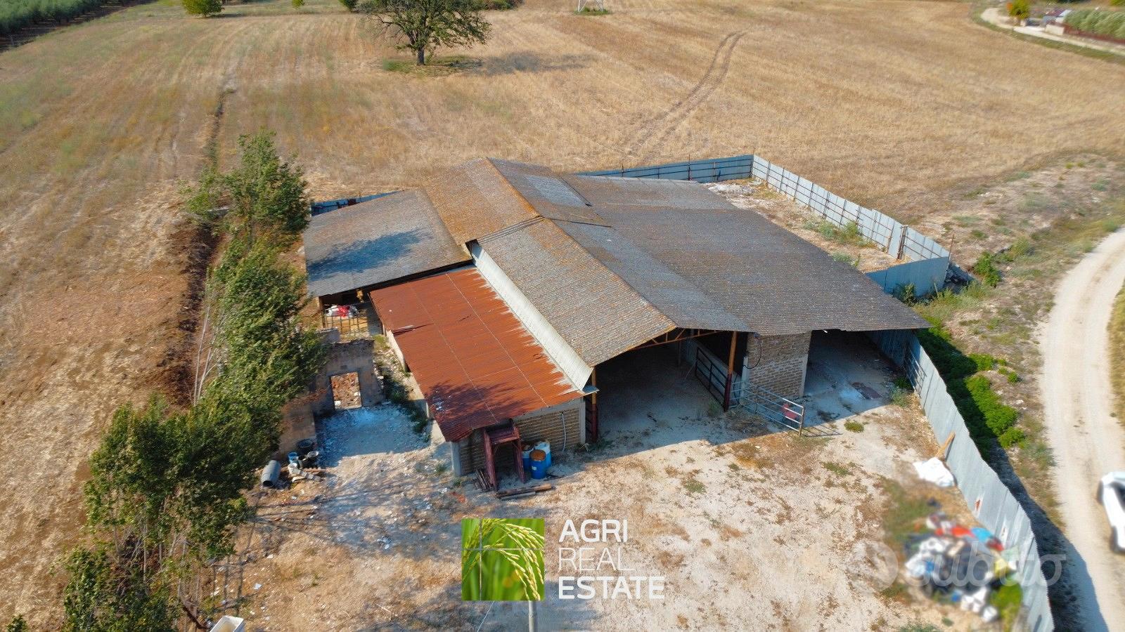 Proprietà agricola 3 HA con fabbricato e stalla - Vista 4