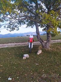 Honda Hm Cre 50