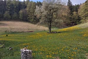 Terreno agricolo 13000mq a ferrara di montebaldo