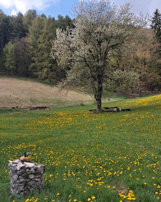 Terreno agricolo 13000mq a ferrara di montebaldo