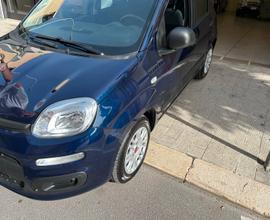 FIAT Panda 3ª serie - 2020