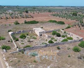 Torre Mozza antica masseria e 1 ettaro di terreno