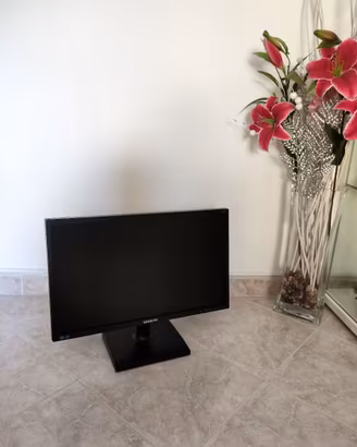 SAMSUNG  S22E200  FULL HD
