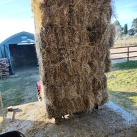 Ballette I taglio+serviz.STIVAGGIO fienile