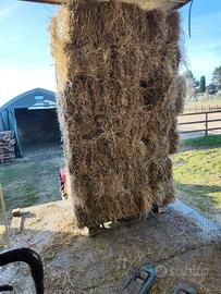 Ballette I taglio+serviz.STIVAGGIO fienile