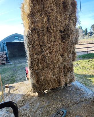 Ballette I taglio+serviz.STIVAGGIO fienile