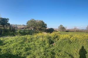 Terreno nel comune di sant'onofrio (vv)