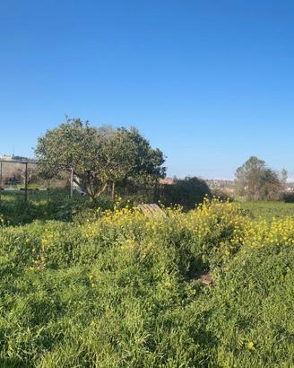 Terreno nel comune di sant'onofrio (vv)