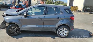 Sportello posteriore sx EcoSport 2015