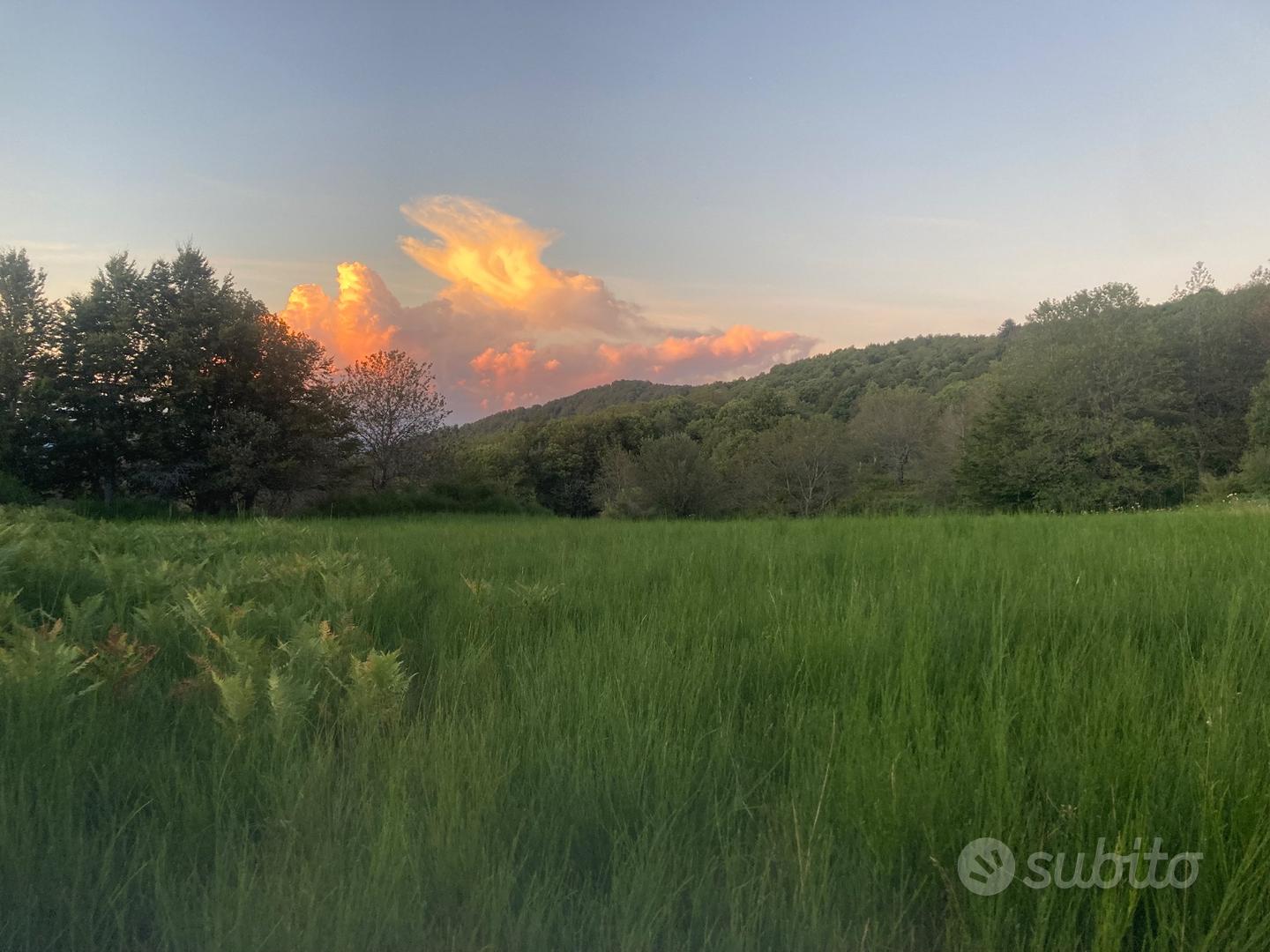 Terreno Agricolo 10.000mq Tivegna (30' da Lerici) - Vista 3