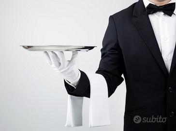 Cameriere cin esperienza. Solo Domenica a pranzo