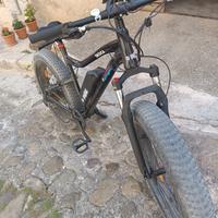 Bicicletta elettrica