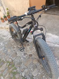 Bicicletta elettrica
