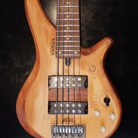 basso 5 corde Choombia Moose