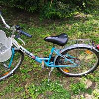 Bicicletta Tecnobike 