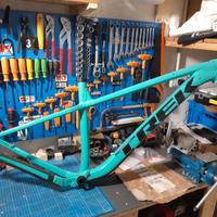 Telaio Trek Roscoe 7 Miami green tg M (17")