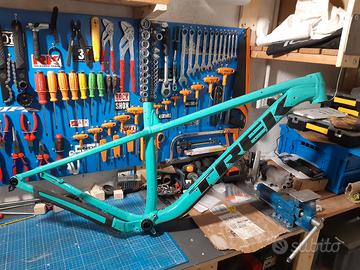 Telaio Trek Roscoe 7 Miami green tg M (17")