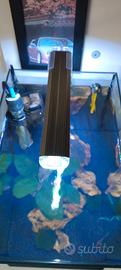 lampada per acquario 