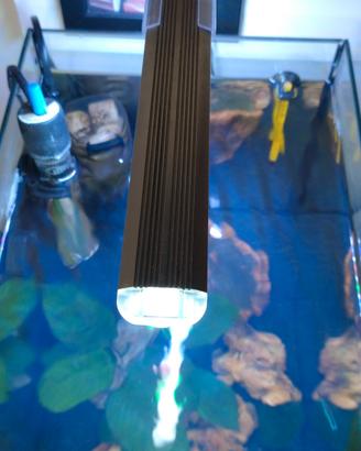 lampada per acquario 