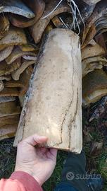 tegole antiche (coppi)