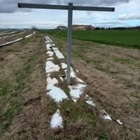 PALO FRUTTETO/RECINZIONE