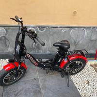 Bicicletta elettrica