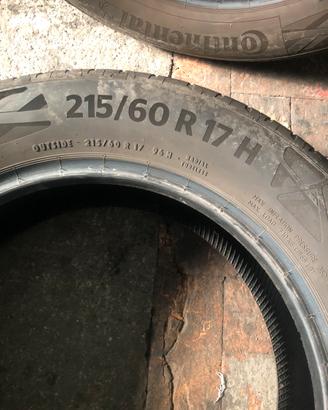 Gomme estive