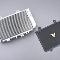 Radiatore BMW con Griglia G310 GS 2021 - 2022