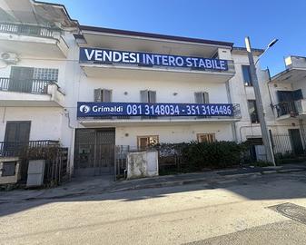 Stabile/Palazzo Acerra [Cod. rif 3284236VRG]
